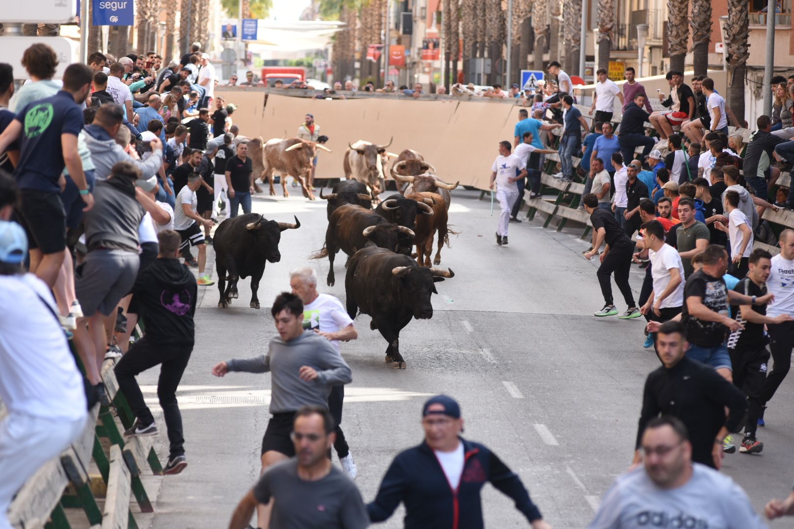 Las imágenes de la séptima jornada de las fiestas de Sant Pasqual del 2023 en Vila-real