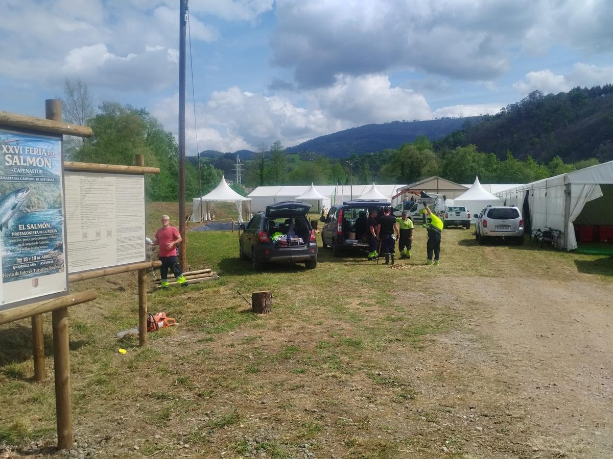 Cornellana, en Salas, se prepara para la Feria del Salmón y la subasta del campanu de Asturias