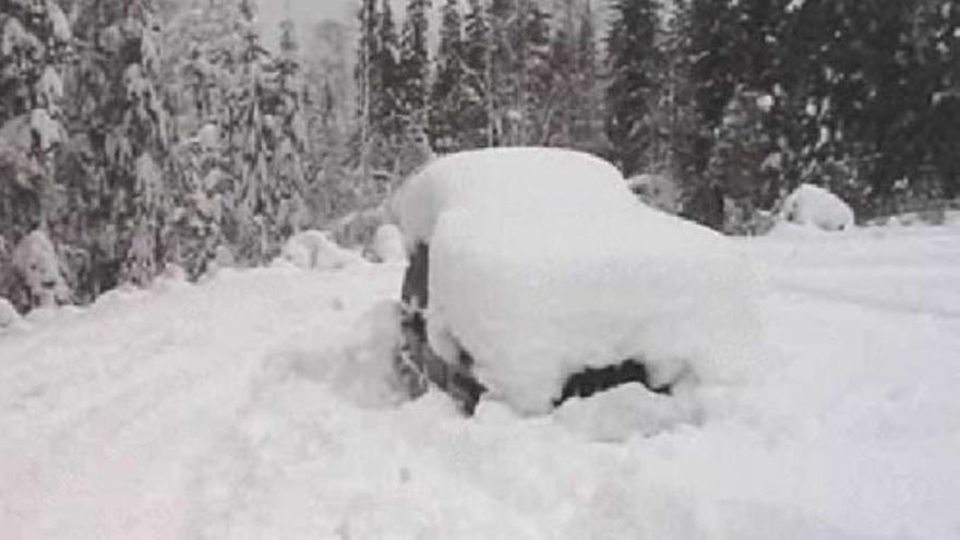 Rescatado de entre la nieve