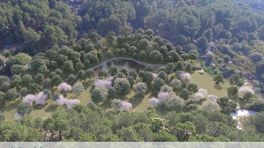 Cenicientos: el pueblo de Madrid que alberga la mayor colonia de anfibios de Europa