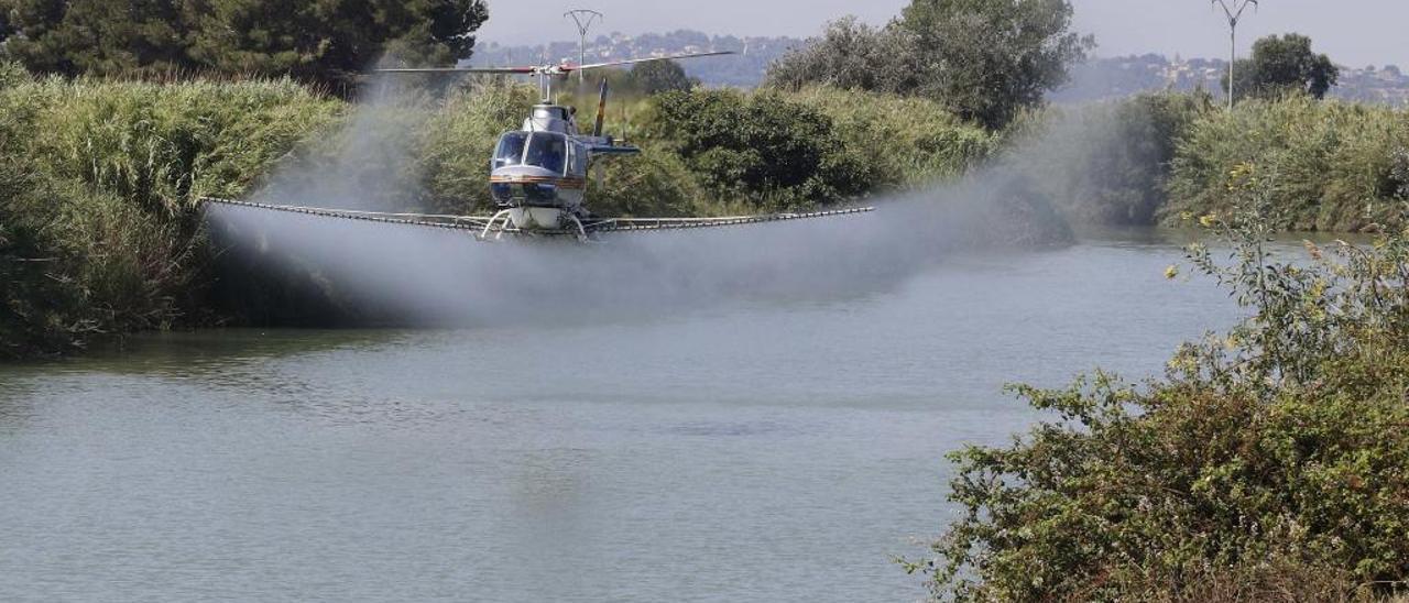 La Fumigacion Aerea Reduce Hasta En Un 90 Las Larvas De La Mosca Negra Levante Emv