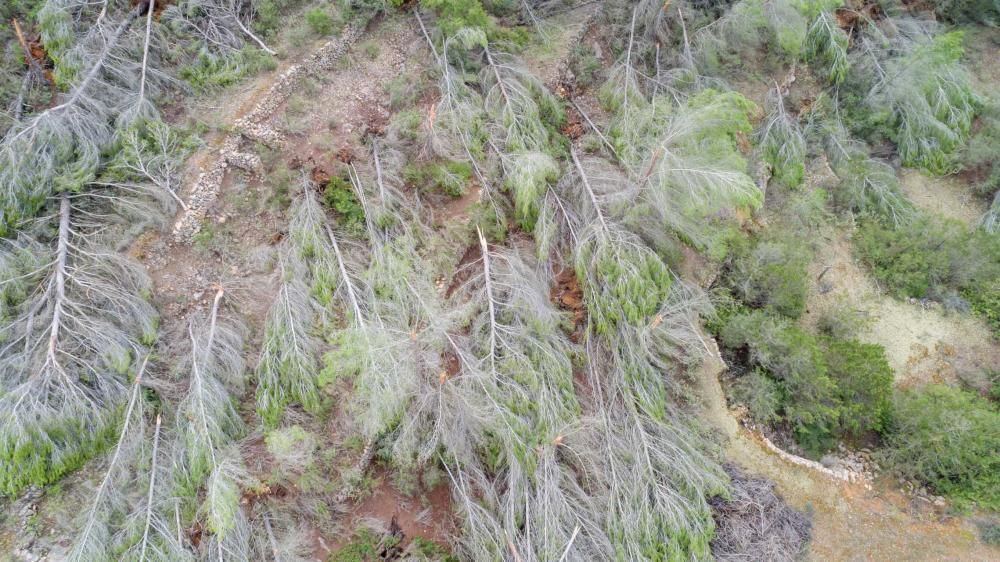 La palabra que más empleaban vecinos y curiosos para describir el paisaje era «guerra»