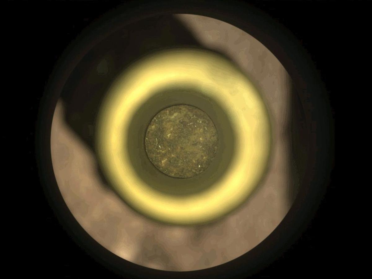 La primera muestra con núcleo de roca de Marte se puede observar (en el centro) dentro de un tubo de recolección de muestras del rover Perseverance de la NASA.
