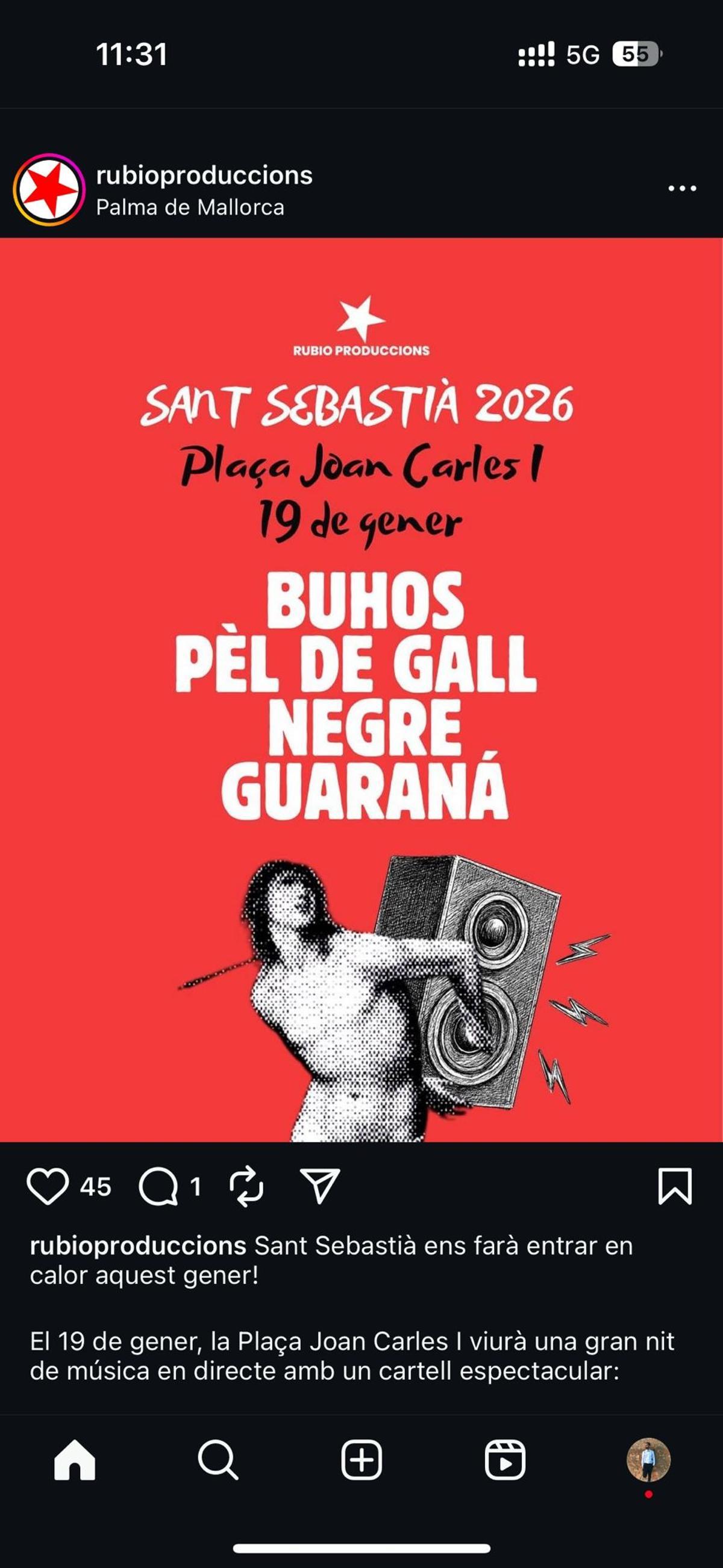 Los cuatro grupos que actuarán en la plaza de las Tortugas.