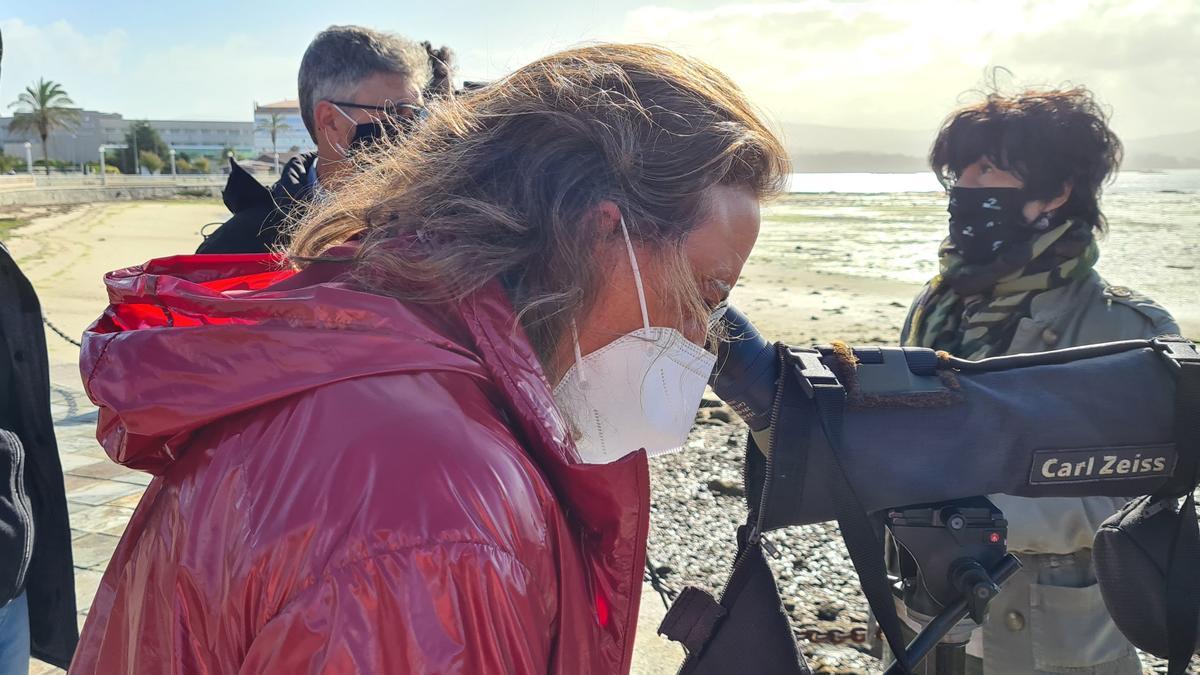 La edil de Medio Ambiente, Ángeles Domínguez, observando aves desde A Toxa.