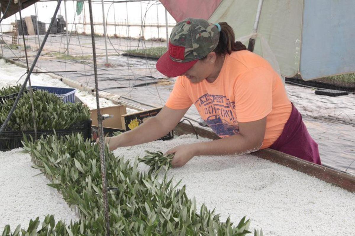 La mujer asume cada vez más protagonismo en el mundo rural.