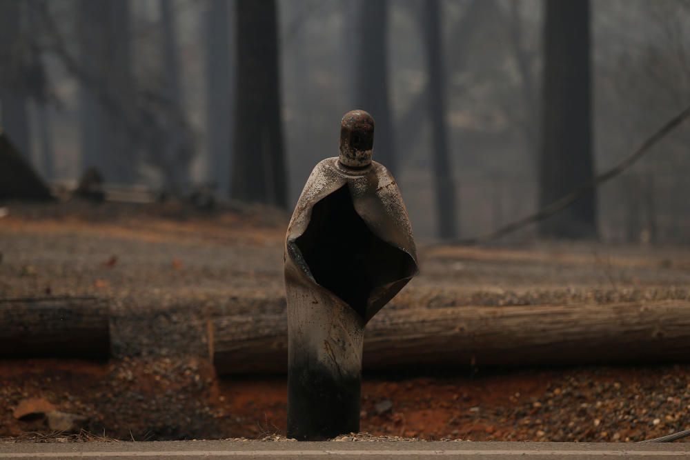 Incendis forestals a Califòrnia