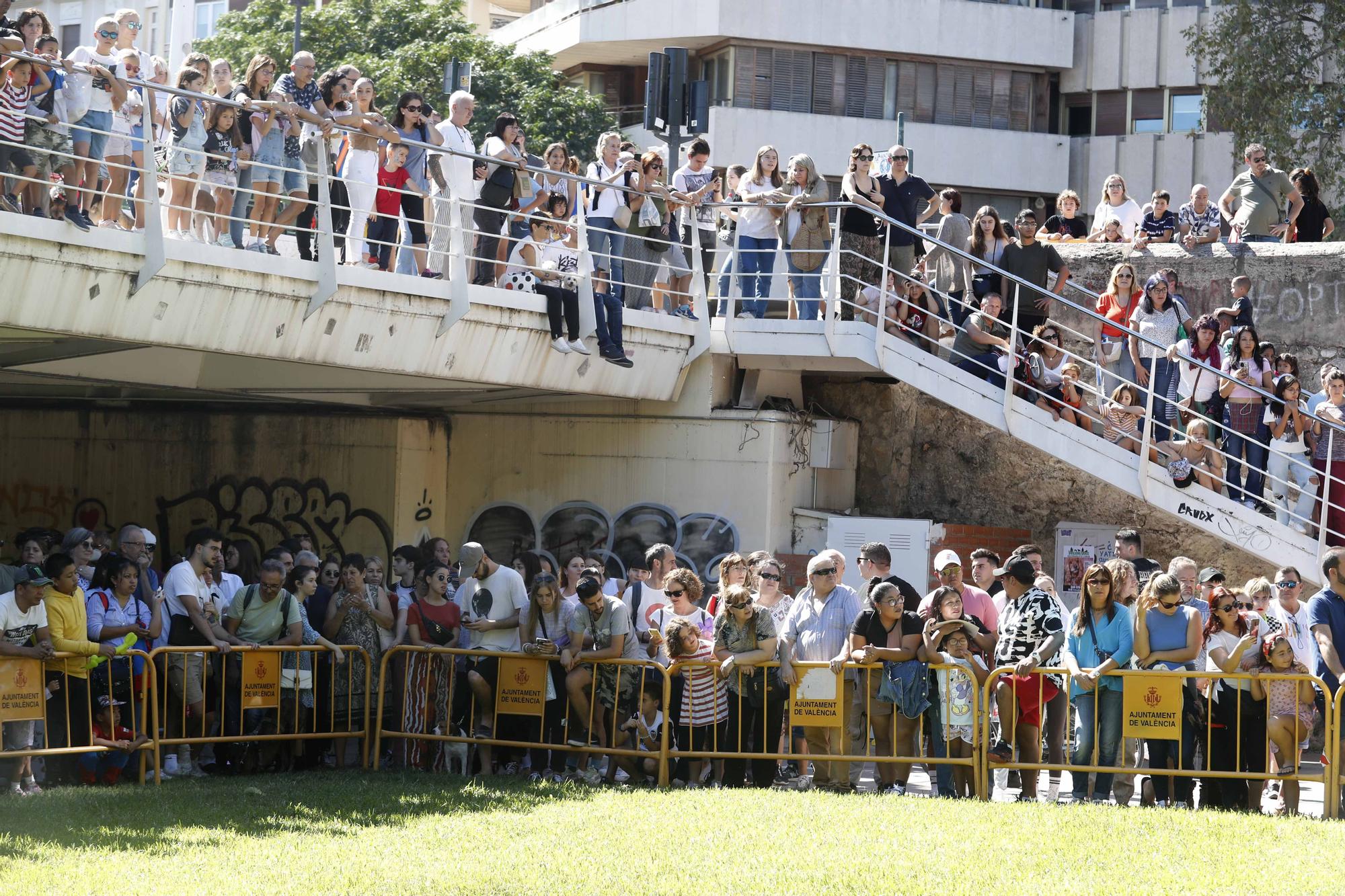 La Feria Animalista de València, en imágenes