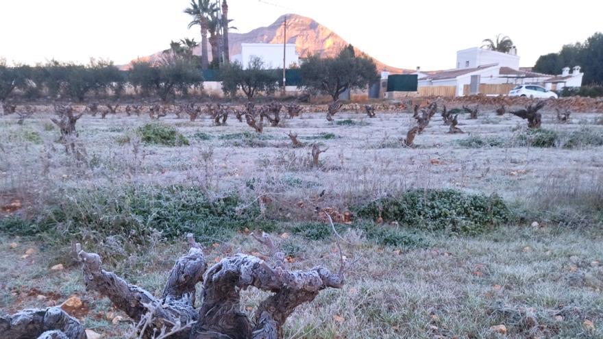 Otro amanecer gélido en la Marina Alta: -4&#039;6º en Castell de Castells, -3,3º en el Pla de Teulada y -2,2 en Lluca de Xàbia