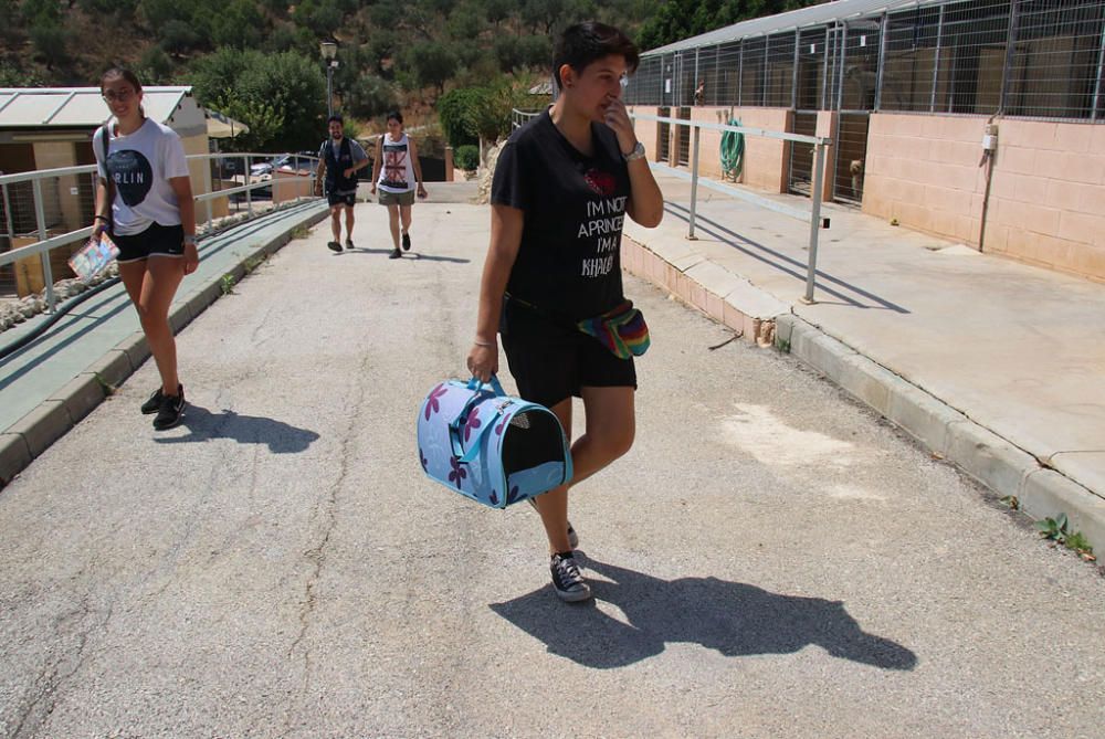 Visita a la Protectora de Animales y Plantas de Málaga