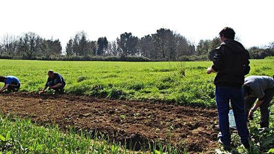 Participantes en un programa de empleo de la Reserva de Biosfera.