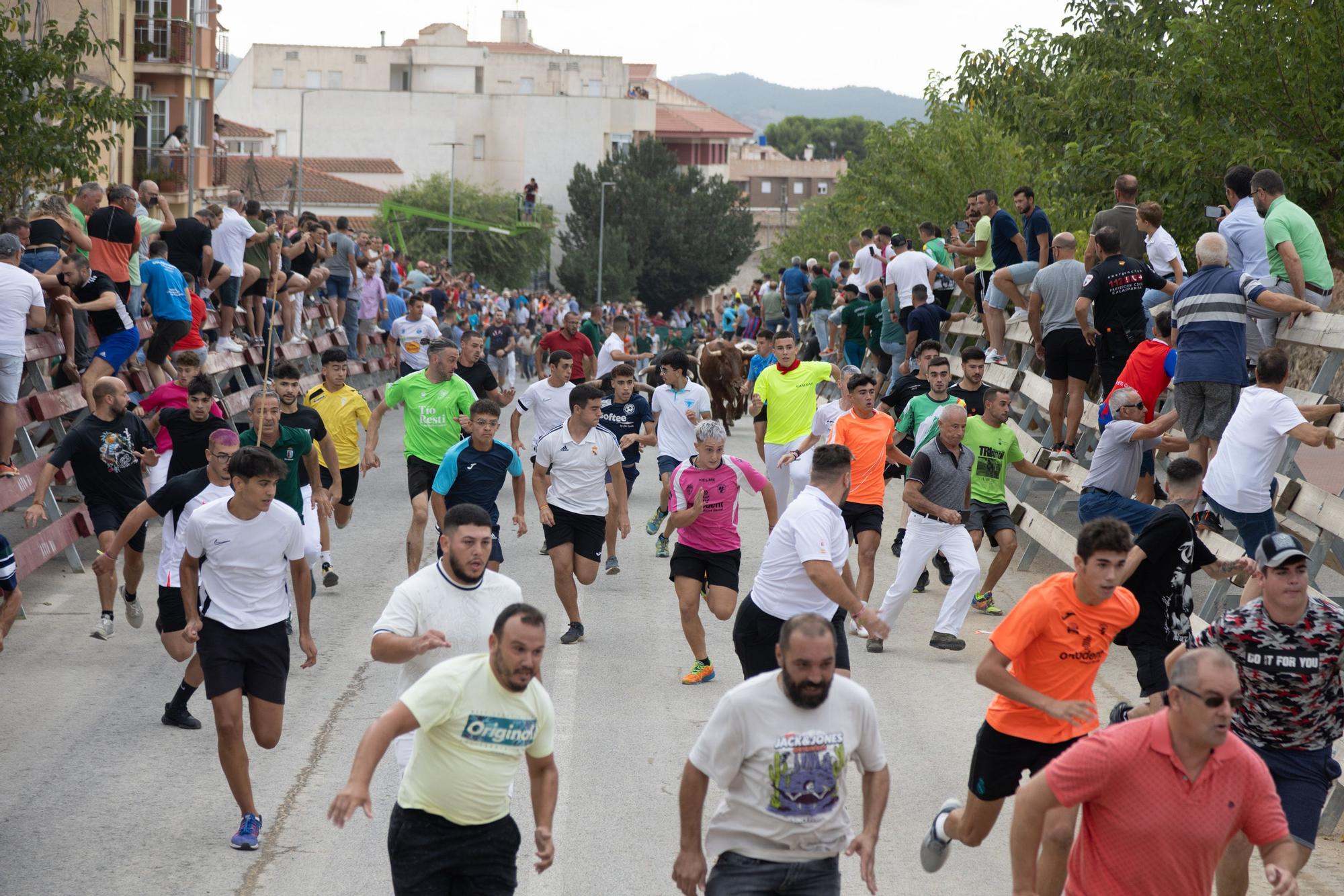 Tercer encierro de la Feria Taurina del Arroz en Calasparra