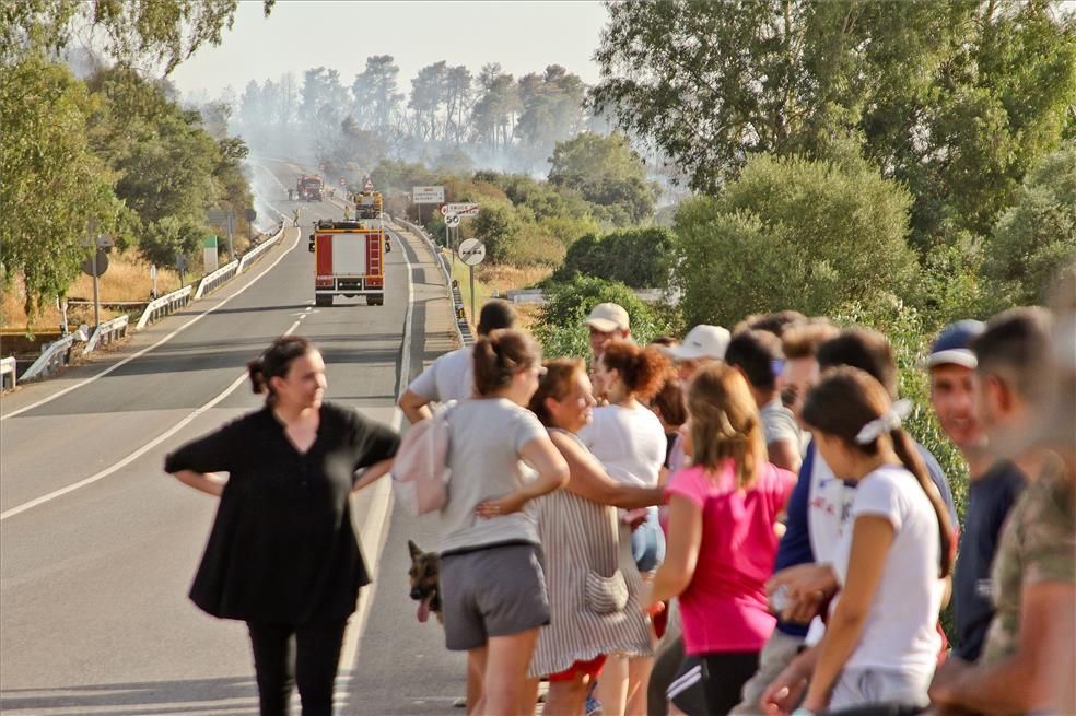 El incendio de ayer en Alcuéscar, en imágenes