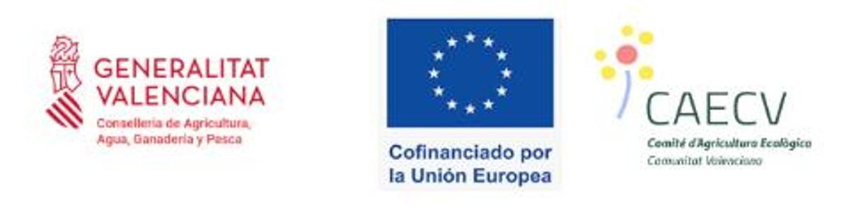 logo caecv