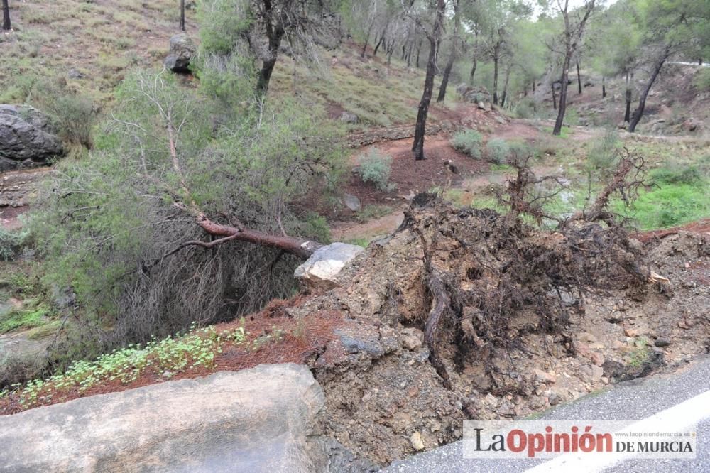 Las consecuencias del temporal en Murcia