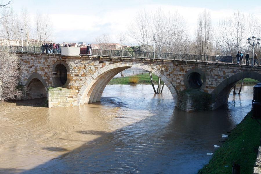 Inundaciones de enero 2016 en Zamora