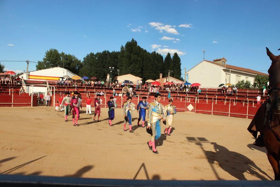 Fiestas en Zamora: Encierro y toros en Villamor