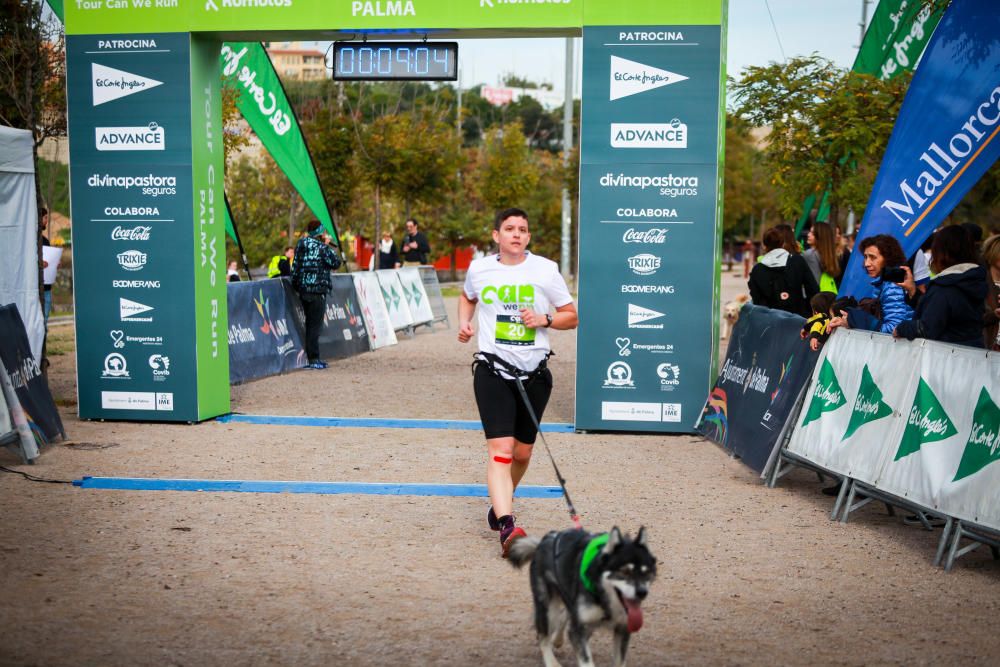 Can We Run Mallorca: So war das Hunderennen