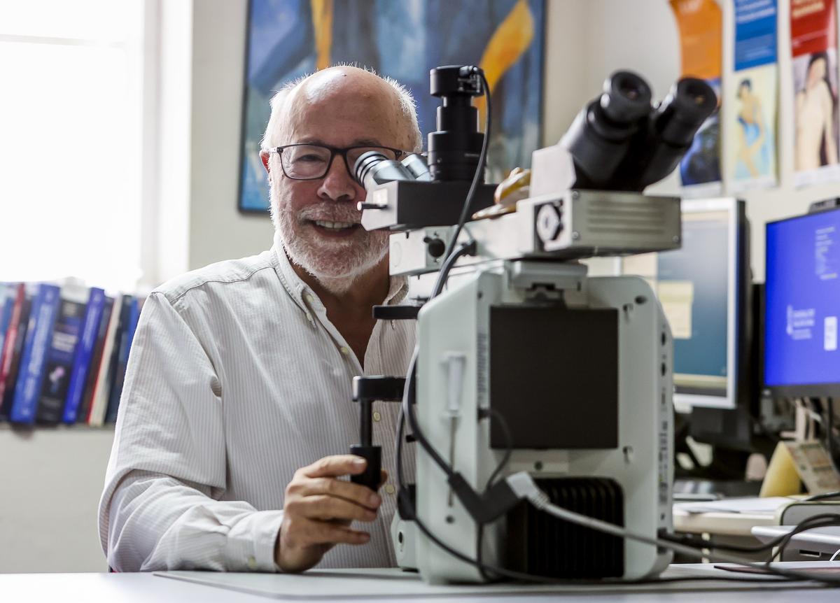 El doctor Aranda, con el microscopio