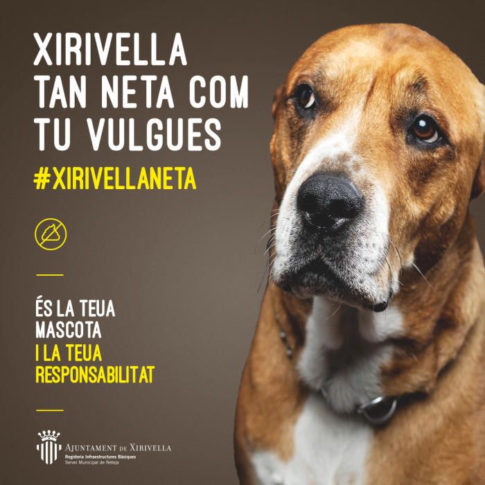 Distintos carteles de la campaña contra los excrementos de animales.