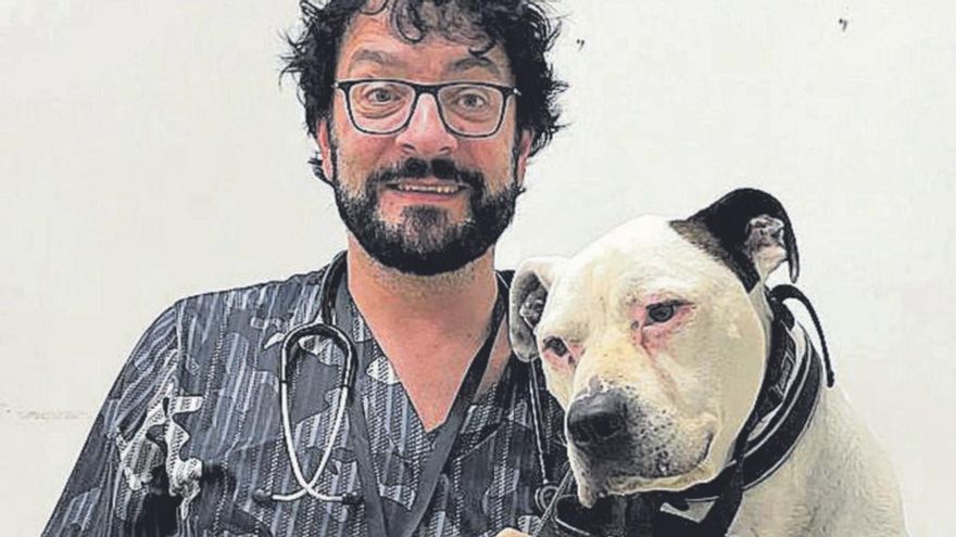 El veterinario Óscar Beceiro, este viernes, con Marshall, en su clínica, Kavuré. |