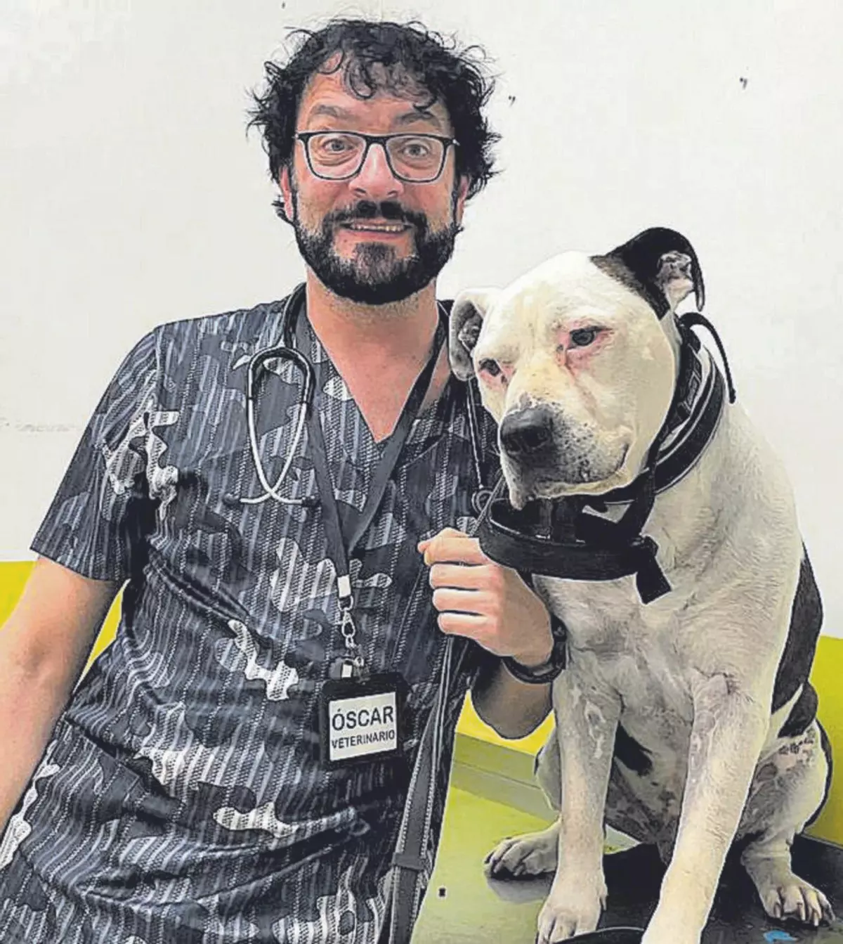 Mascotas como terapia: «Los animales nos ayudan a modular el dolor»