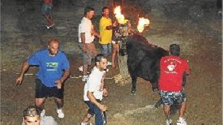 Uno de los toros embolados en Algímia d&#039;Alfara.