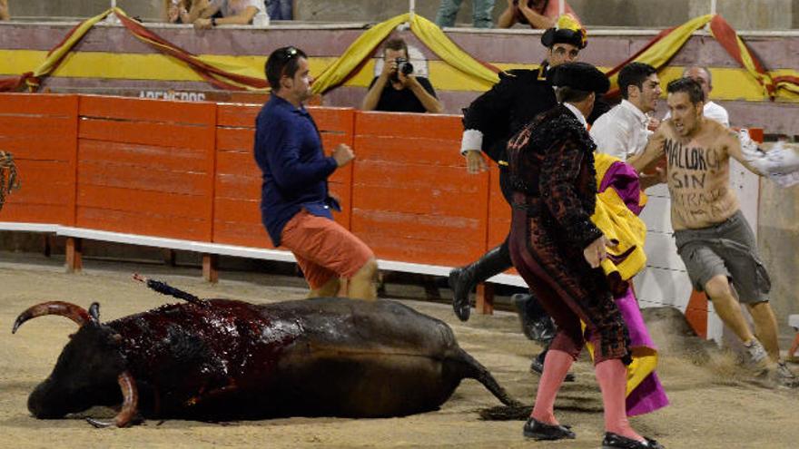 Denuncian al activista que saltó al ruedo durante una corrida de toros en Palma