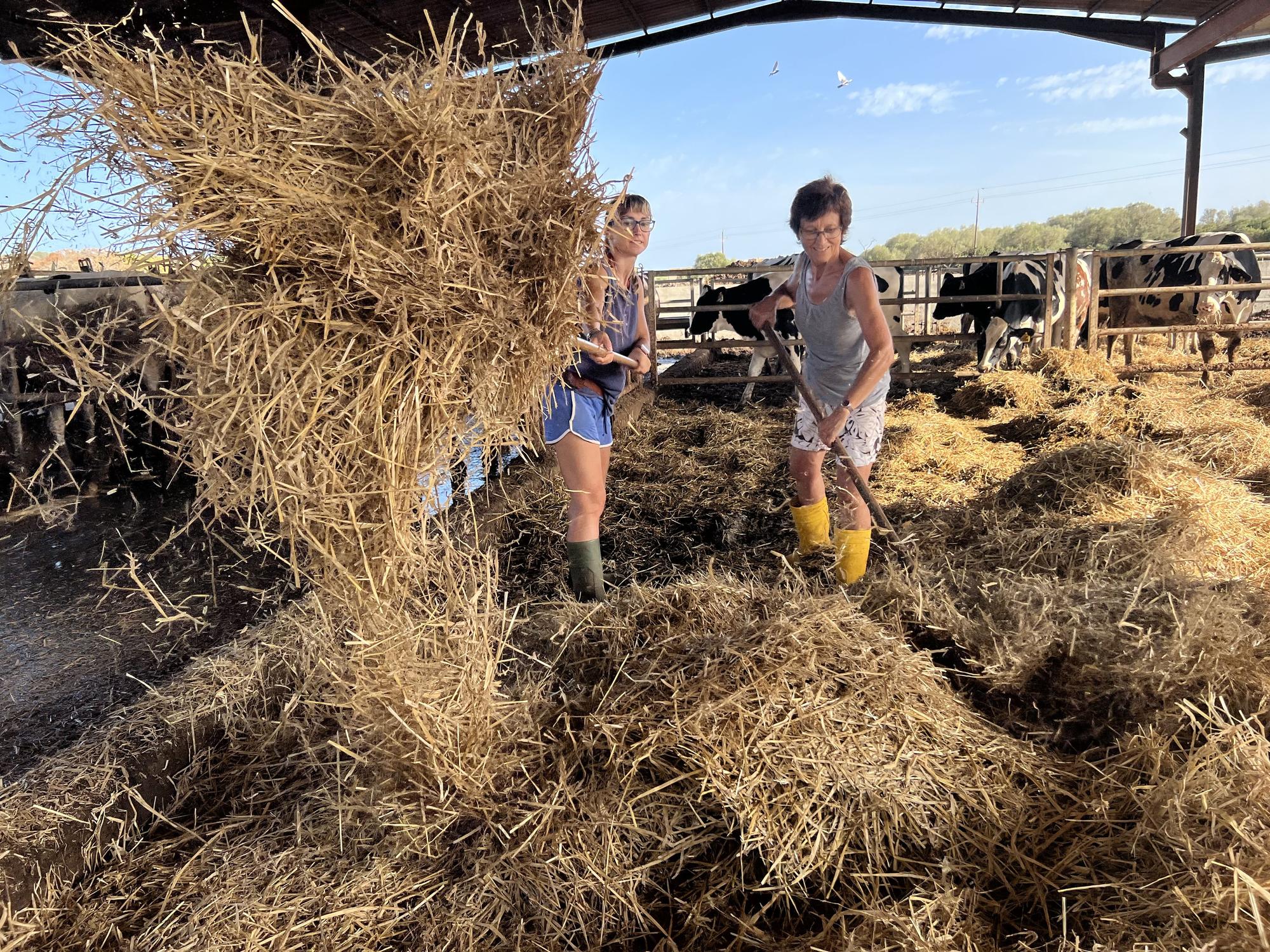 Fotos premiadas en el III certamen de fotografía 'De la mar i de la terra' para visibilizar la mujer rural