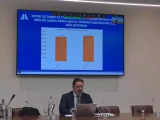 Las aerolíneas ofrecen 33 millones de asientos para viajar a Mallorca este verano