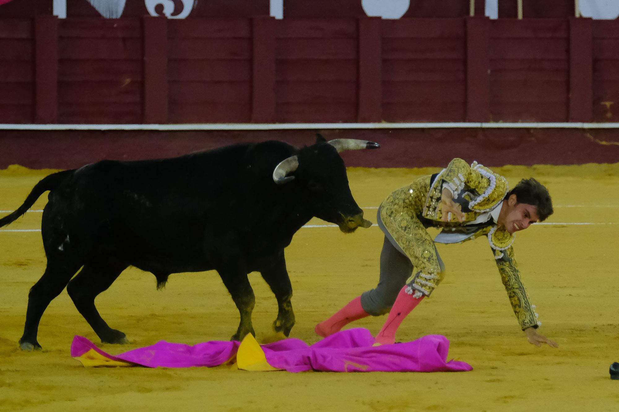 Toros en la Feria I Octava corrida de abono en la Malagueta:  2ª Semifinal de las Escuelas Taurinas