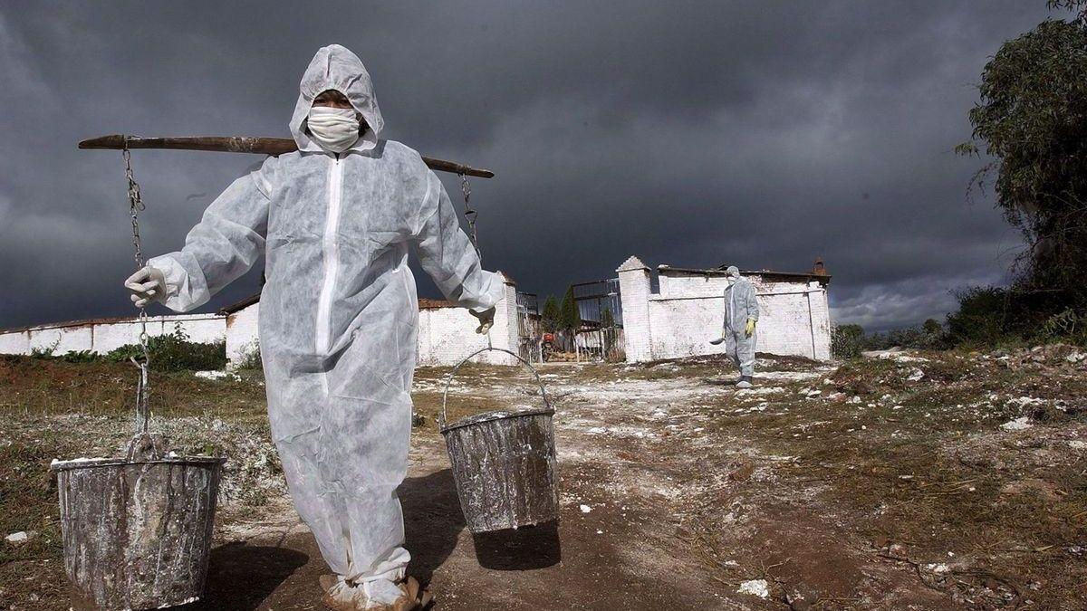 Treballadors de quarantena en un lloc després d&#039;un brot de la grip aviària, en una foto d&#039;arxiu