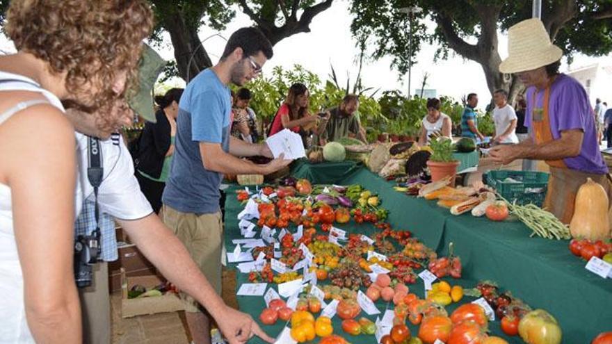 El municipio malagueño de Coín ha acogido este viernes el concurso para elegir al mejor tomate, que ha sido el de Sebastián Pacheco, un productor del cortijo Los Torres de la localidad.