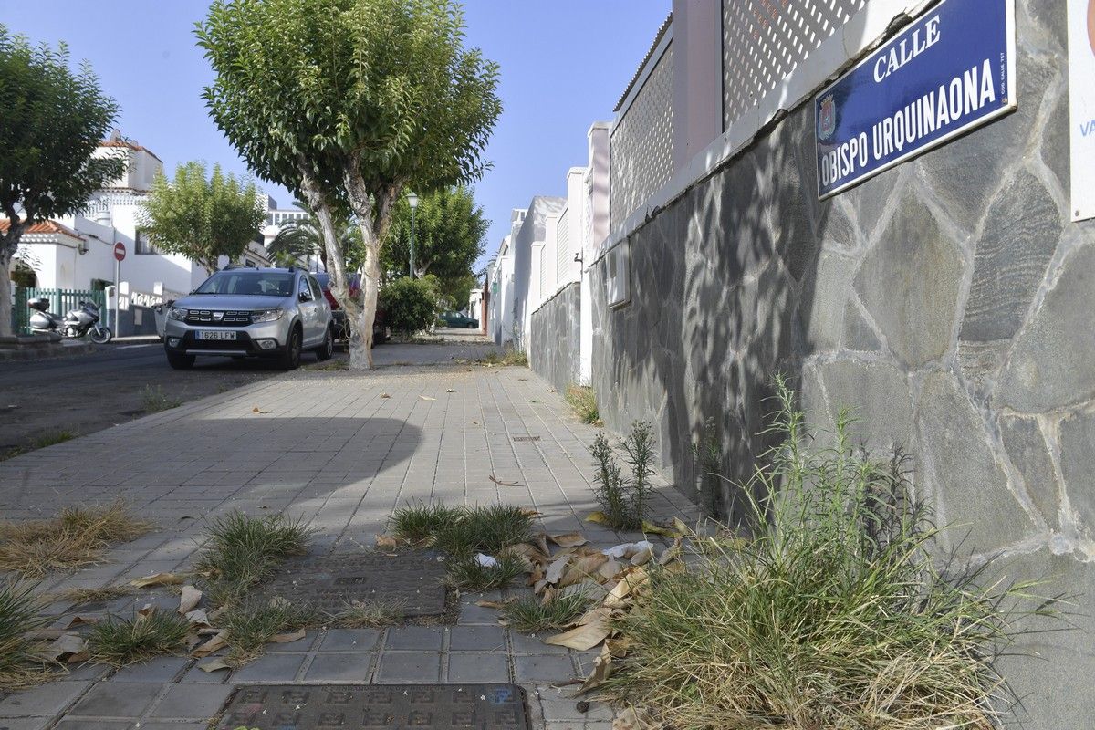 Hierbas en aceras de las calles de Escaleritas