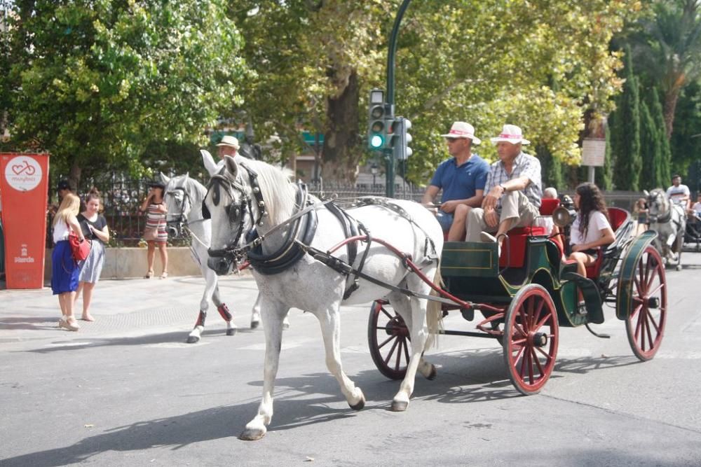 Día del caballo en la Feria de Murcia 2018