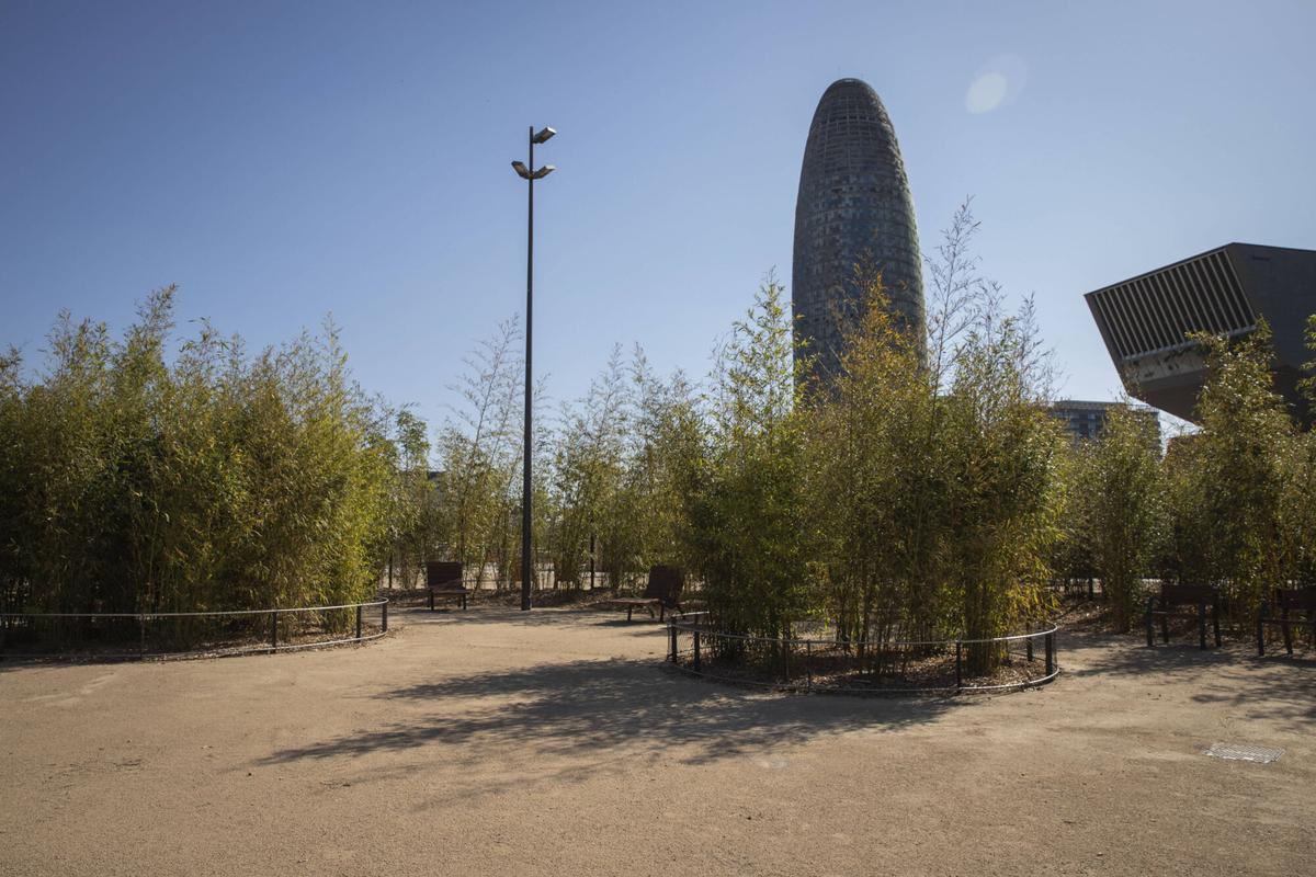 El ágora sensorial, con sus cañas de bambú a un tercio de la altura que algún día alcanzarán.