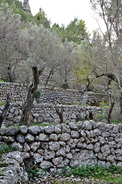 Versteckte Baracken, fast vergessene Geschichten und ganz viel Plackerei: Der Barranc de Biniaraix bei Sóller ist viel mehr als idyllische Wander-Kulisse