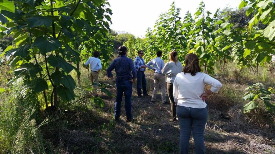 Un contrato de Ecoglauca se adjudicó tras renunciar las 4 firmas mejor clasificadas