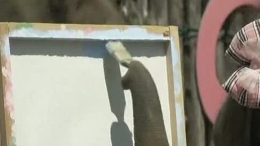 Un elefante de Japón demuestra sus dotes como pintor