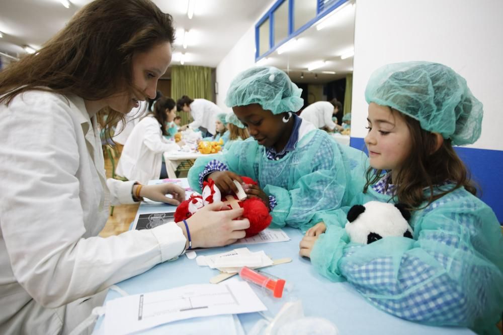 Encuentro con estudiantes de Medicina en el colegio del Quirinal