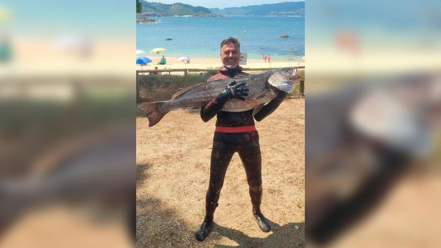 Pesca una corvina de 20 kilos en aguas gallegas: «Nadie aquí ni siquiera había visto una tan enorme»
