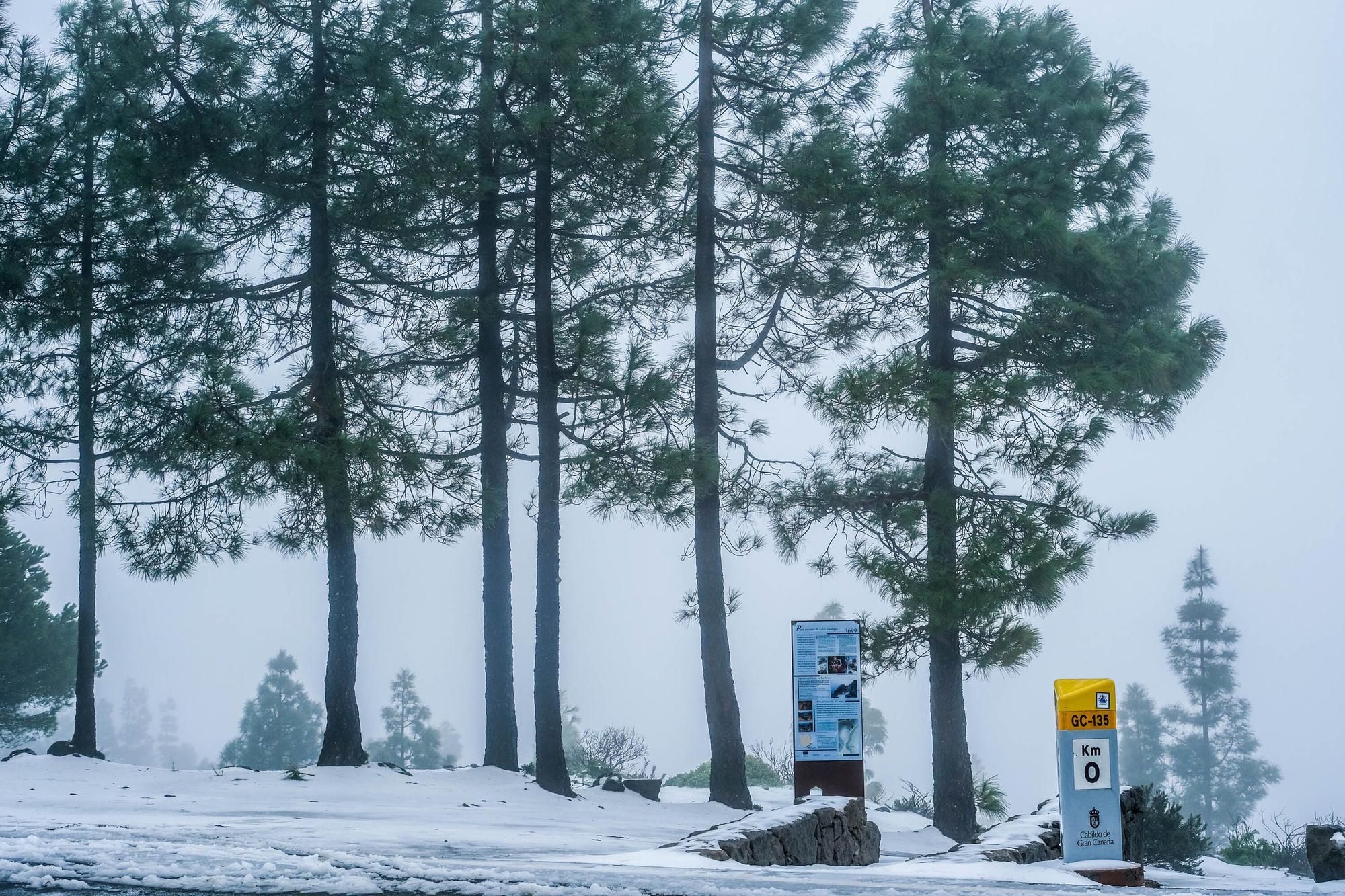 Nieve en la cumbre de Gran Canaria (15/03/2022)