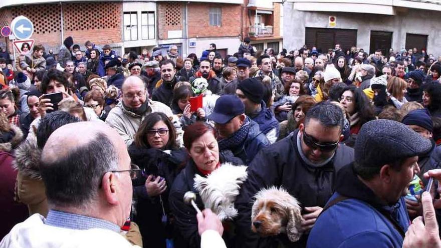 Las mascotas visitan a su patrón