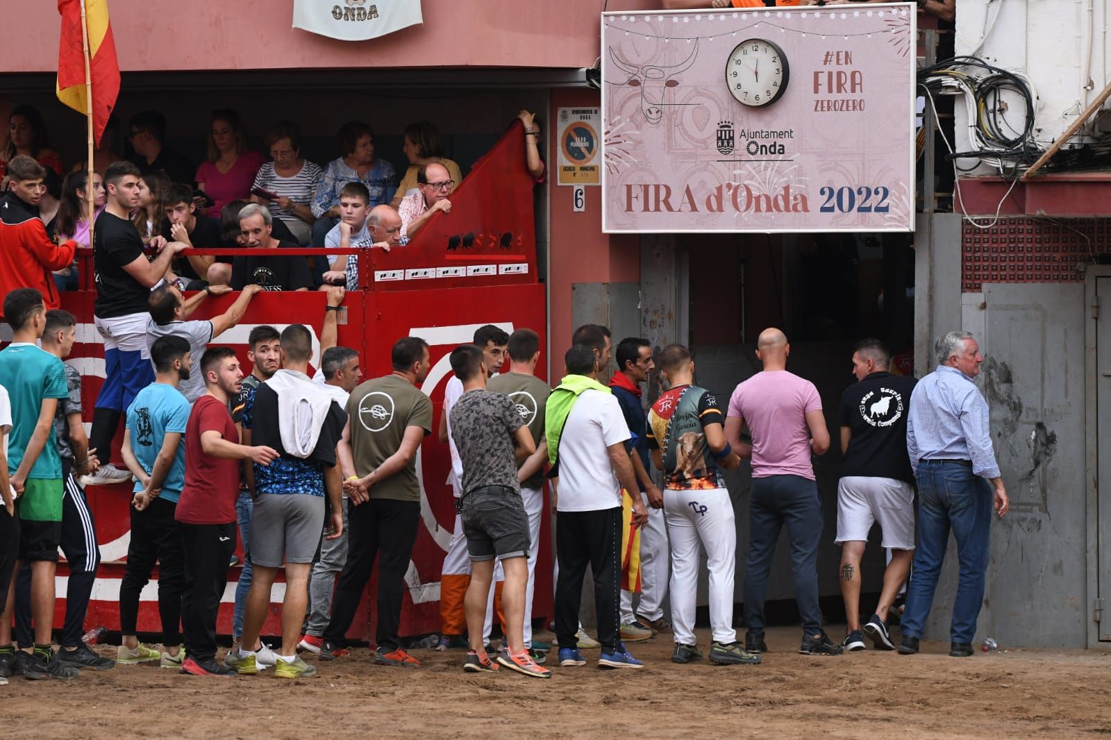 Exhibición de cuatro toros de Partida Resina en Onda