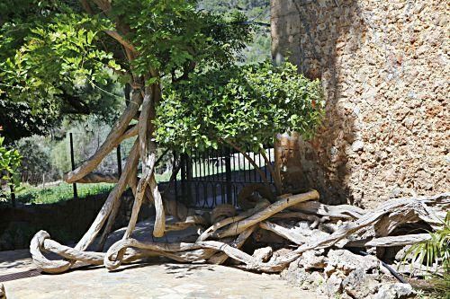 Die Kunsthistorikerin Júlia Ramon erklärt auf einem Rundgang durch die Jardins d’Alfàbia, aus welcher Zeit die Allee, die Wasserspiele und die Bäume stammen