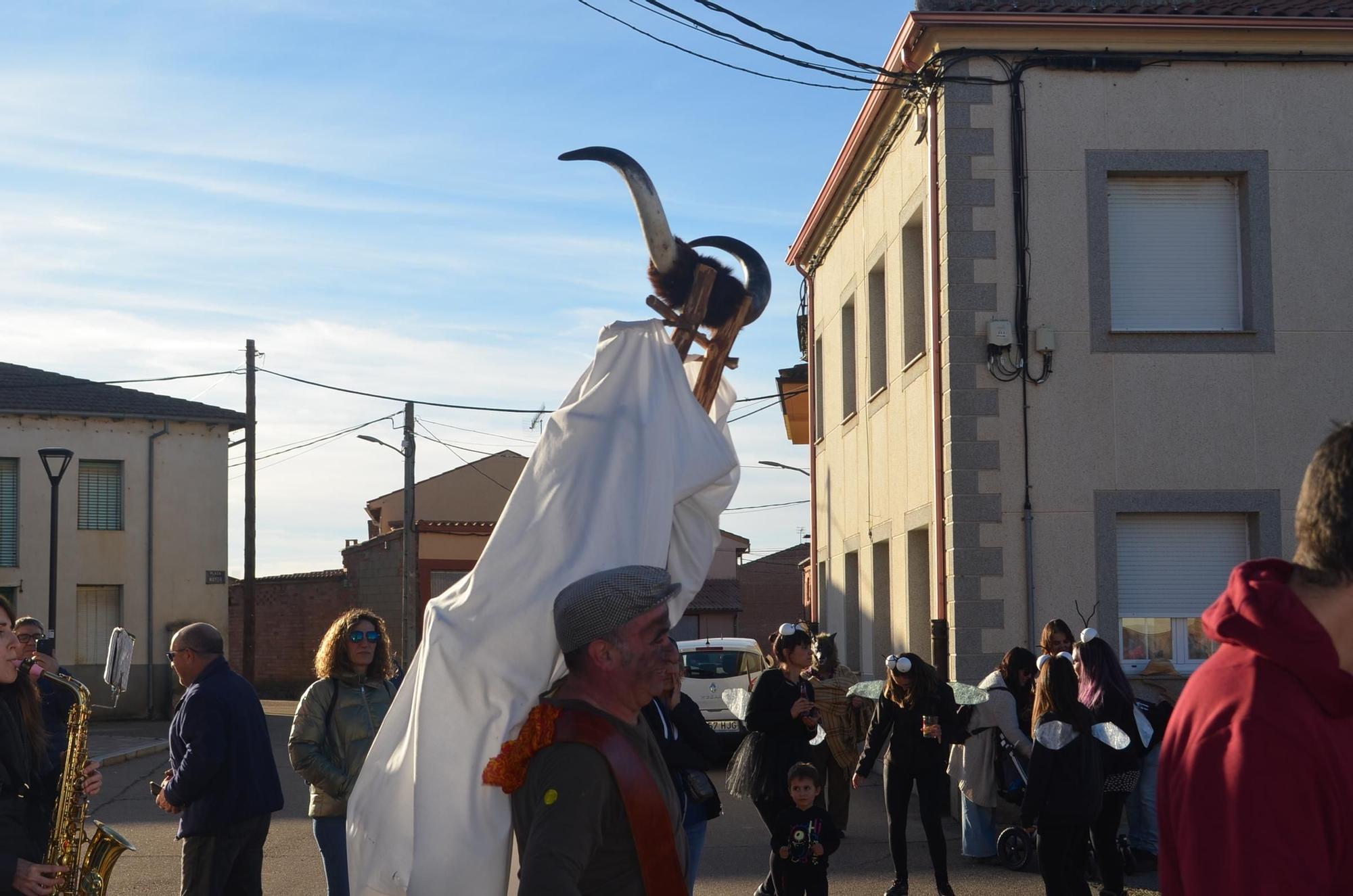 GALERÍA | Morales de Valverde y su Toro de Carnaval