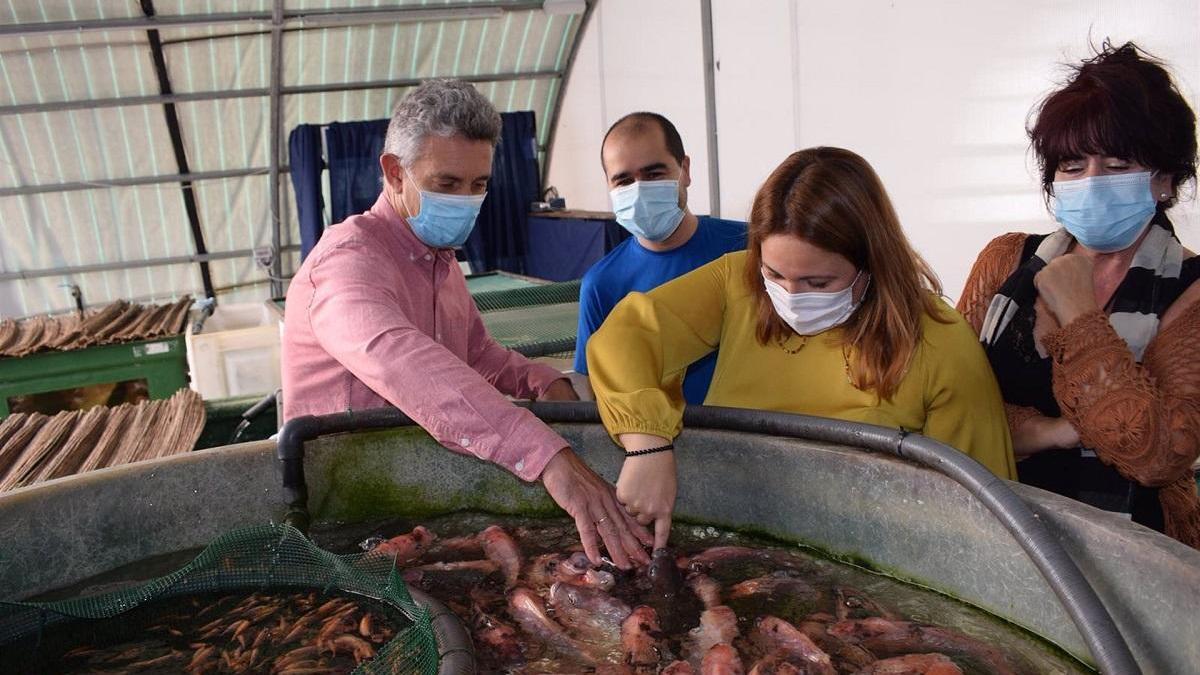 La Diputación y el Aula del Mar imparten jornadas sobre acuaponía