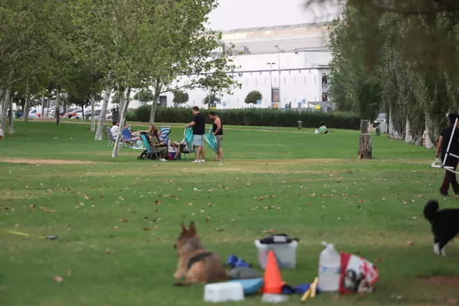Tomar el fresco en Córdoba: de la acera al césped, en imágenes