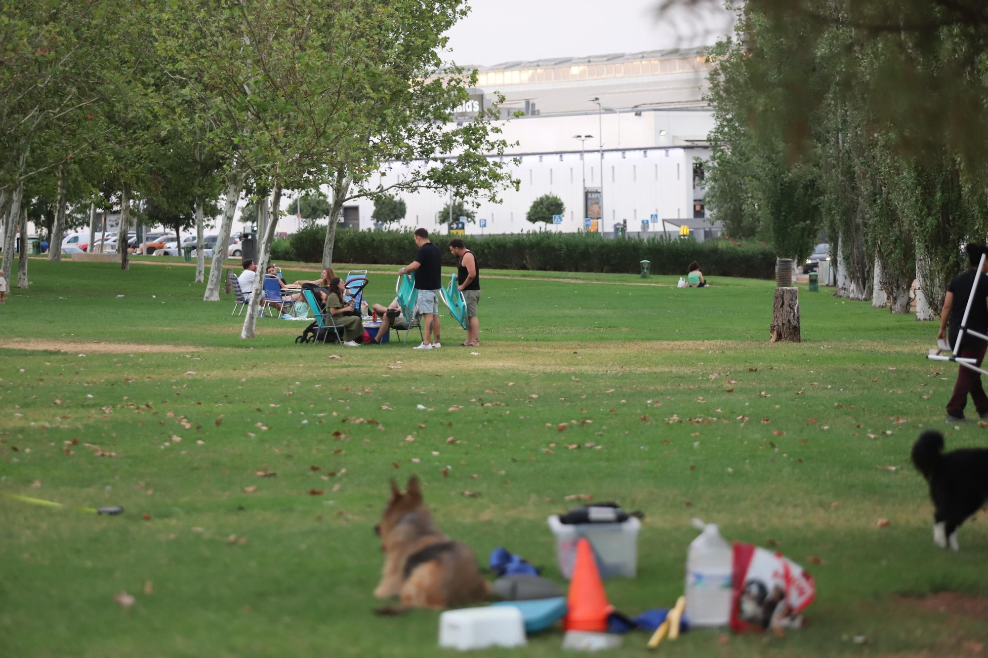Tomar el fresco en Córdoba: de la acera al césped, en imágenes