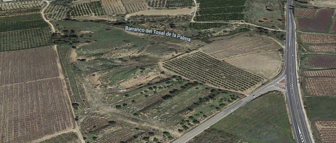 Vista aérea de la parcela del Carraixet donde se proyecta la planta.